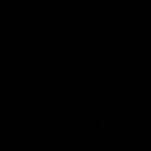 Meet your Posher, Shelly